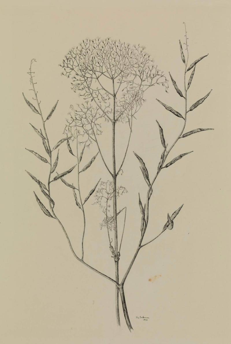 Blomstermotiv