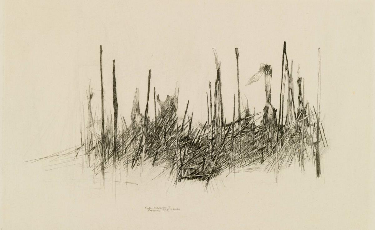 Studie, Rhenskogen IV, Strassbourg