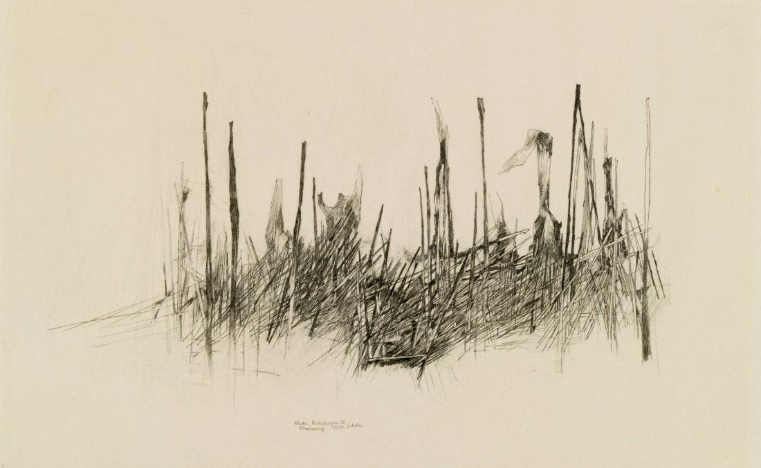 Studie, Rhenskogen IV, Strassbourg