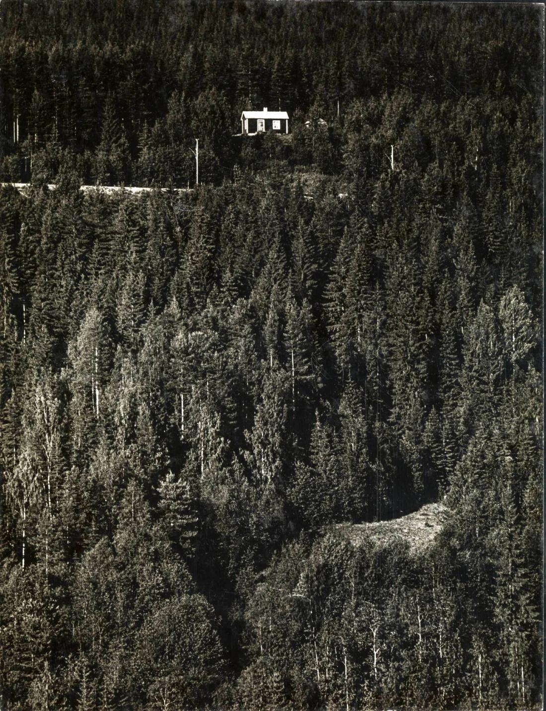 Stuga i Ådalen