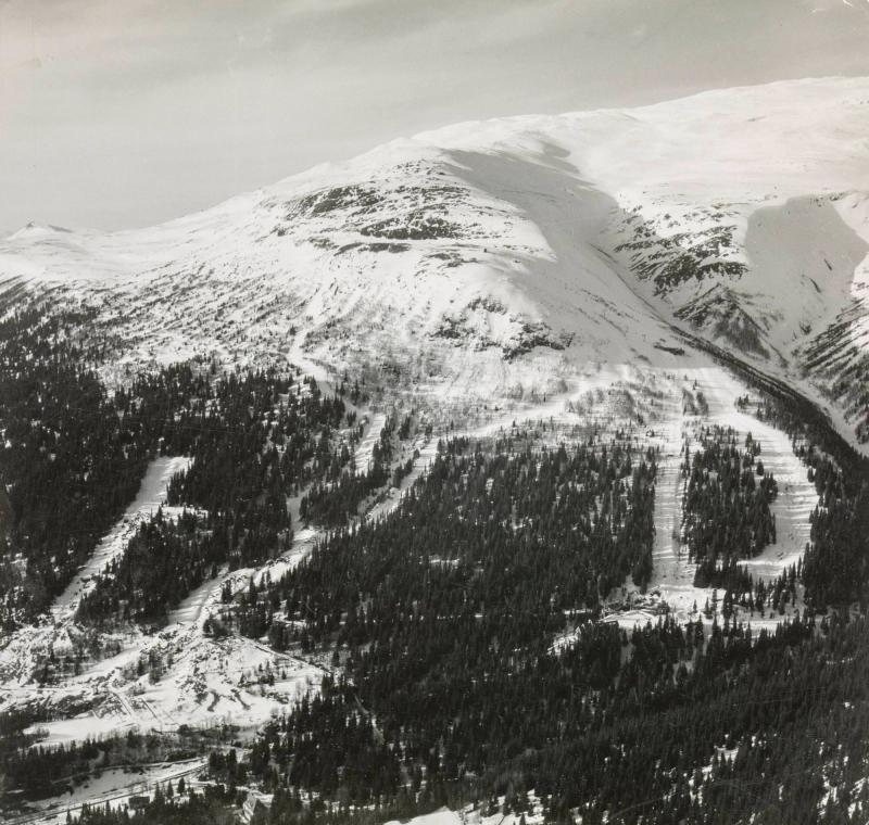 Åreskutan med VM-banorna, 1954