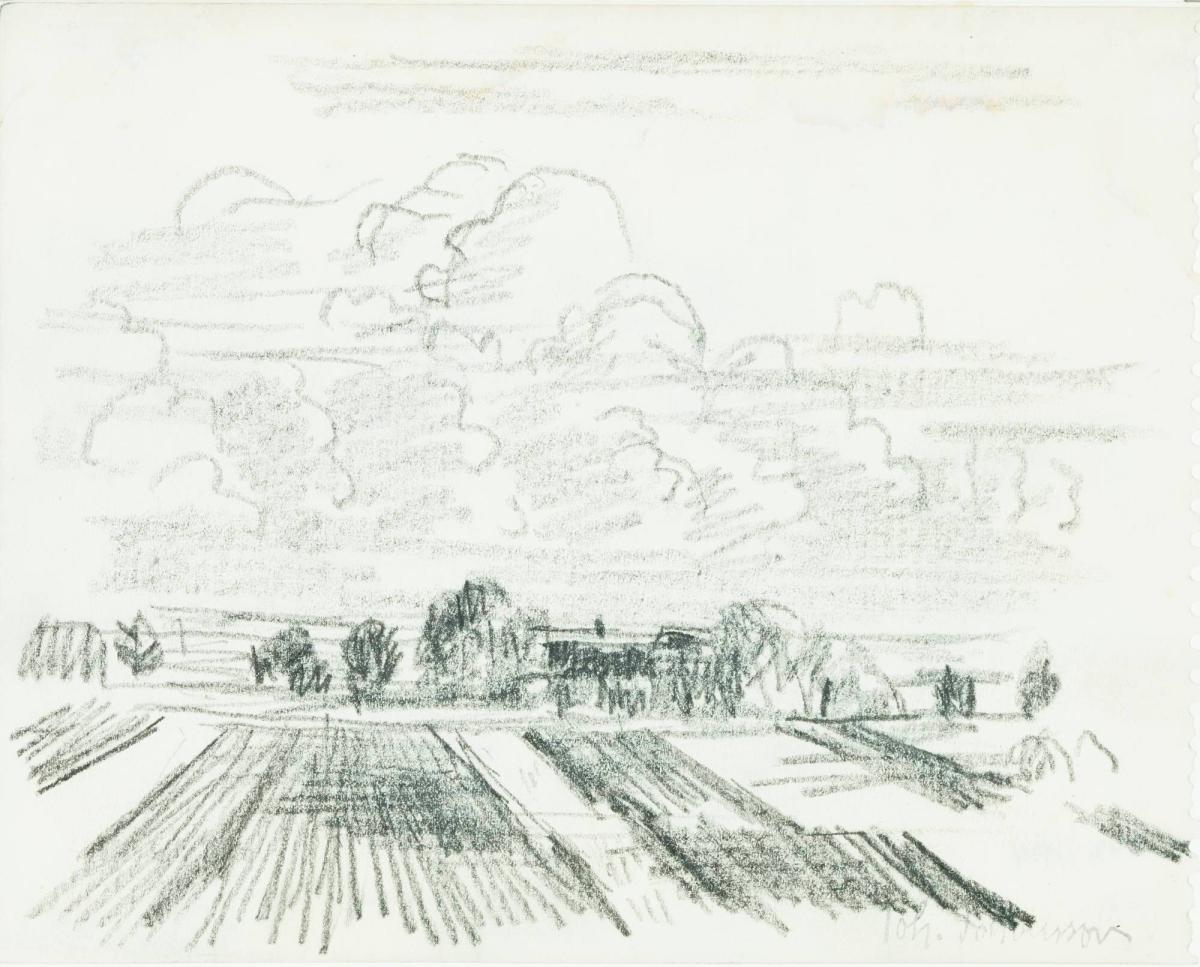 Landskap med åkrar och stackmoln