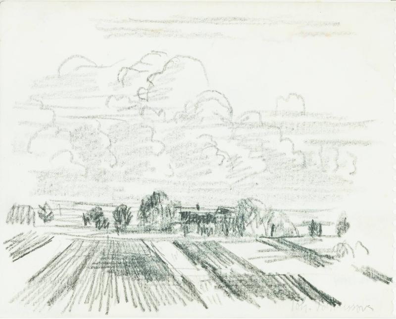 Landskap med åkrar och stackmoln