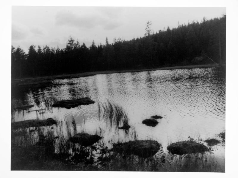 Sniptjärn, Lekvattnet