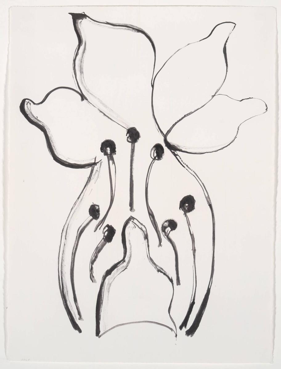 Flower drawing
