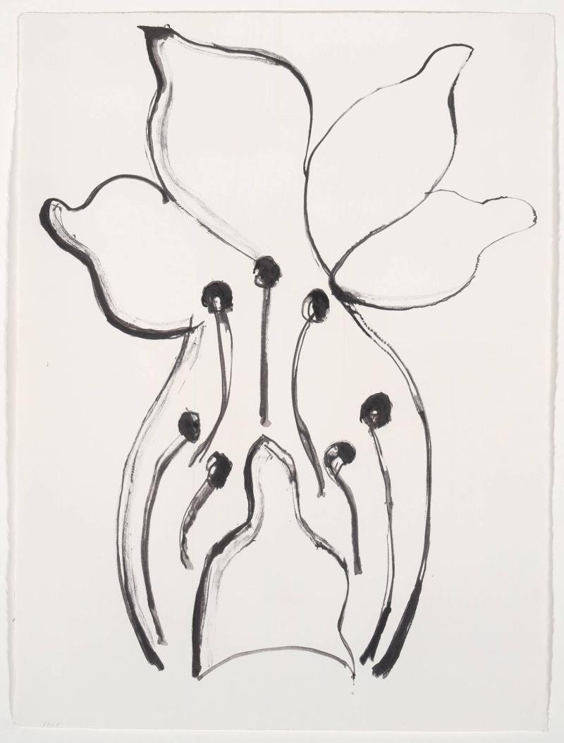 Flower drawing