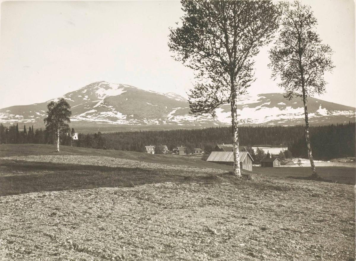 Snasahögarna från Enafors med gården Enaforsholm