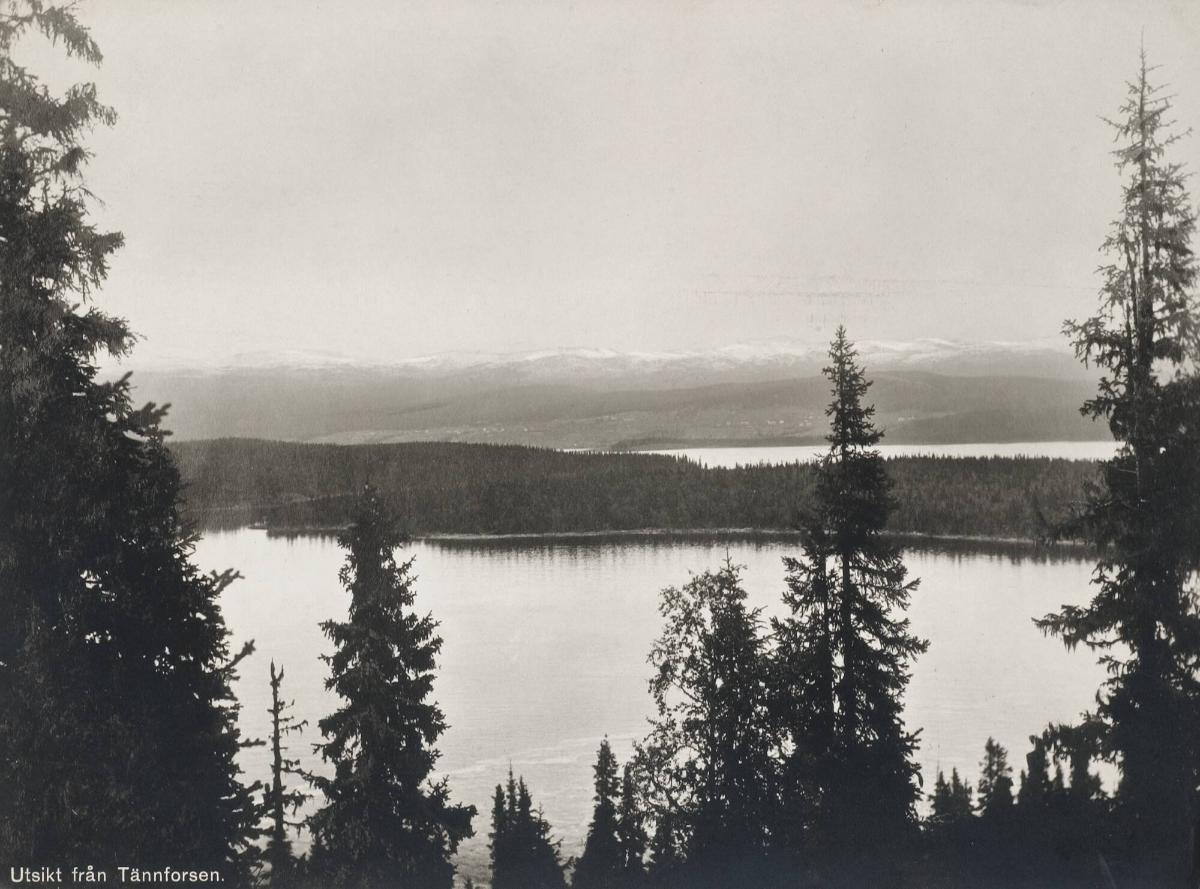 Utsikt från Tännforsen