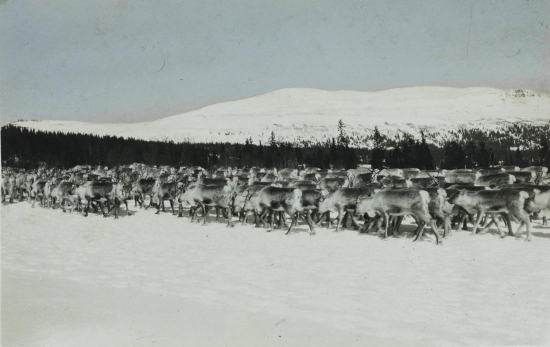 Åre, Jämtland