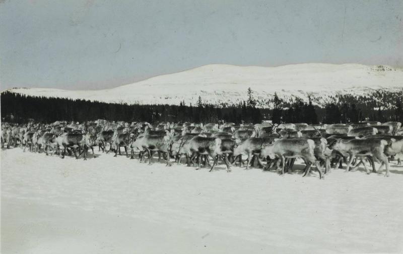 Åre, Jämtland