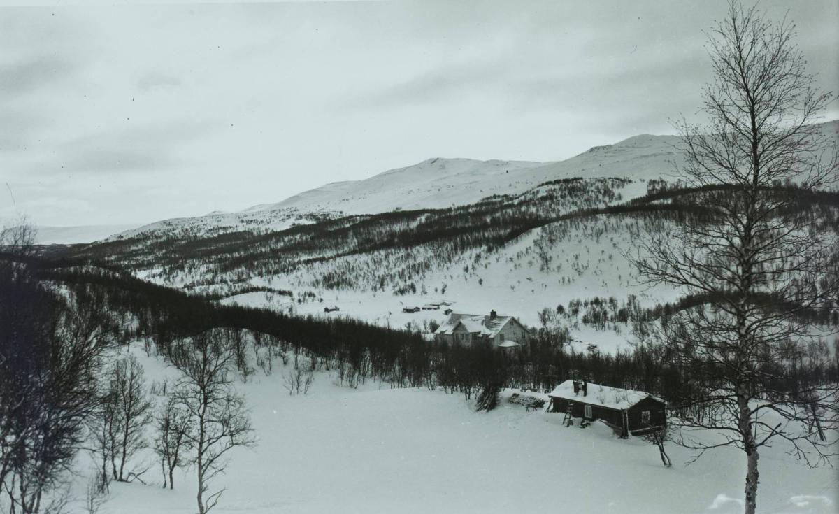 Pensionat Hamrafjället, Malmagen Fjällnäs