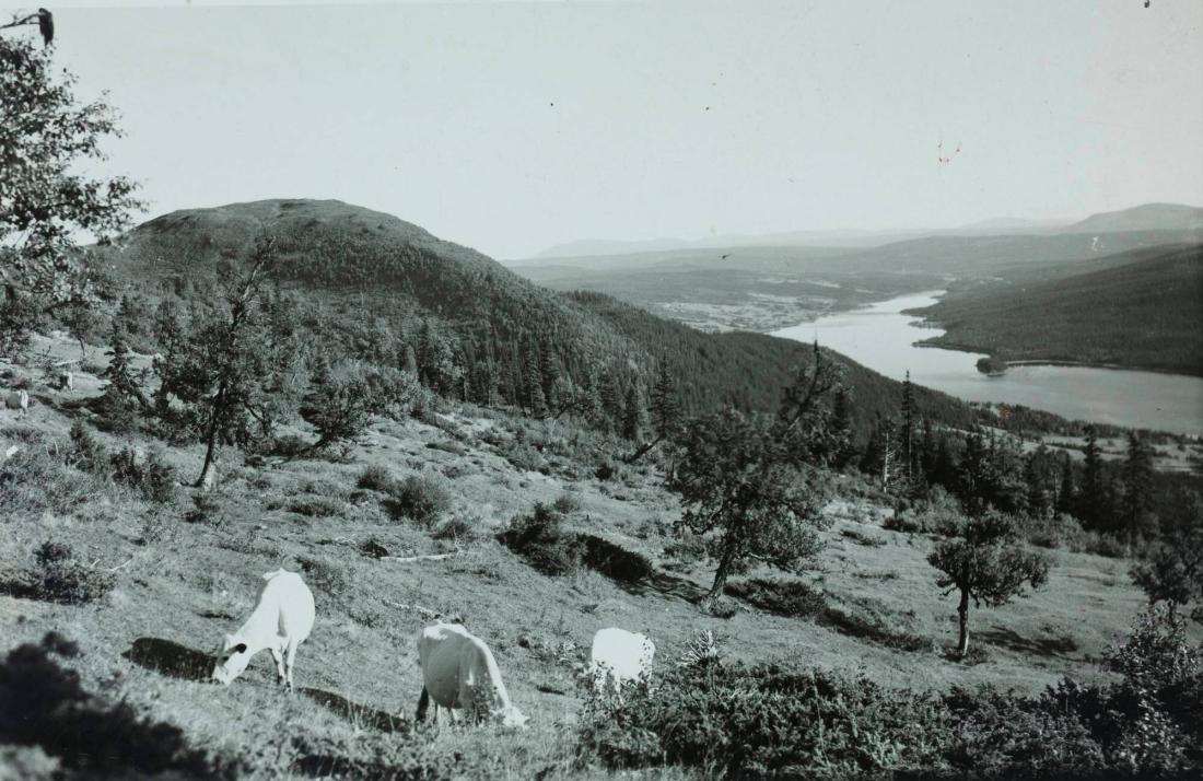 Åre, motif åt söder från stjärnvägen