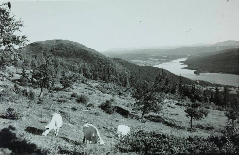 Åre, motif åt söder från stjärnvägen