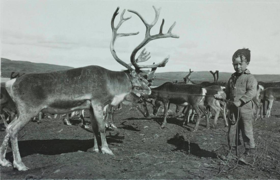 Körrenen