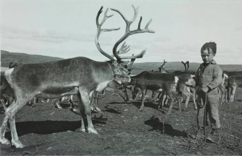 Körrenen