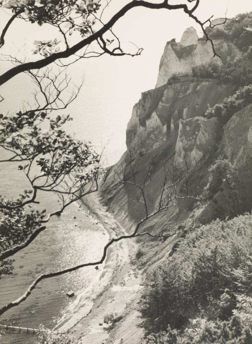 Sommarmorgon. Möns klint, Danmark
