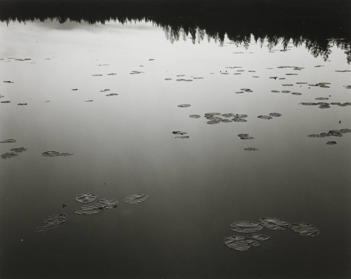 Förningen, Dalarna, juli