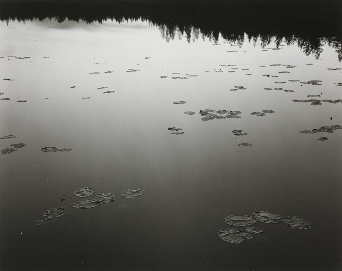 Förningen, Dalarna, juli