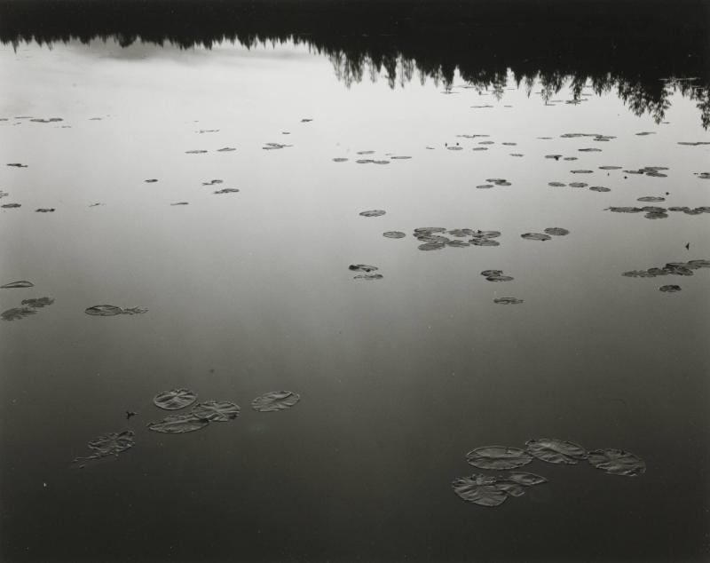 Förningen, Dalarna, juli