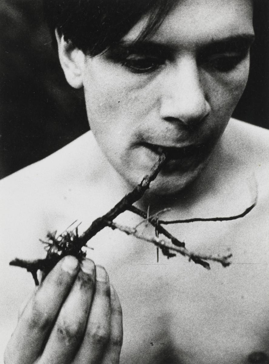 Titel saknas. Ur serien Tall-Maja