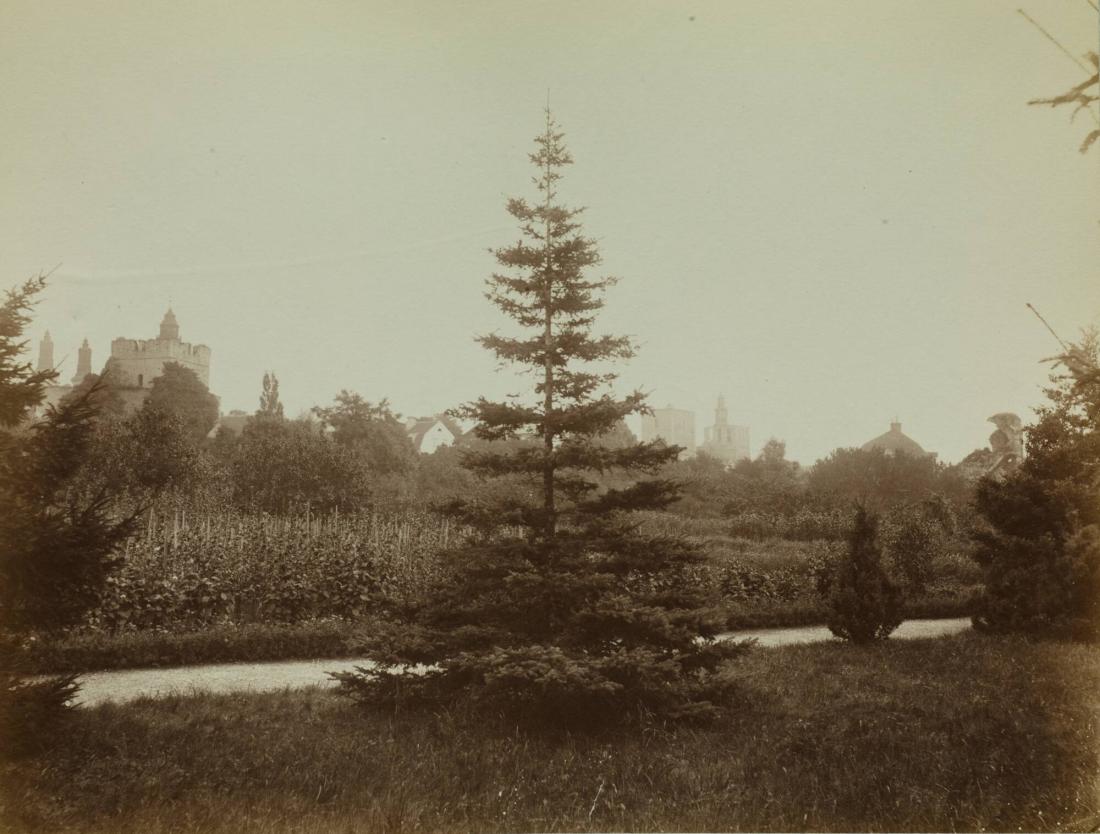 Visby. Botaniska trädgården