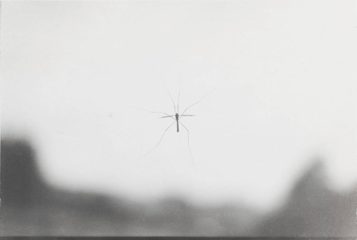 Titel saknas. Ur serien Krank