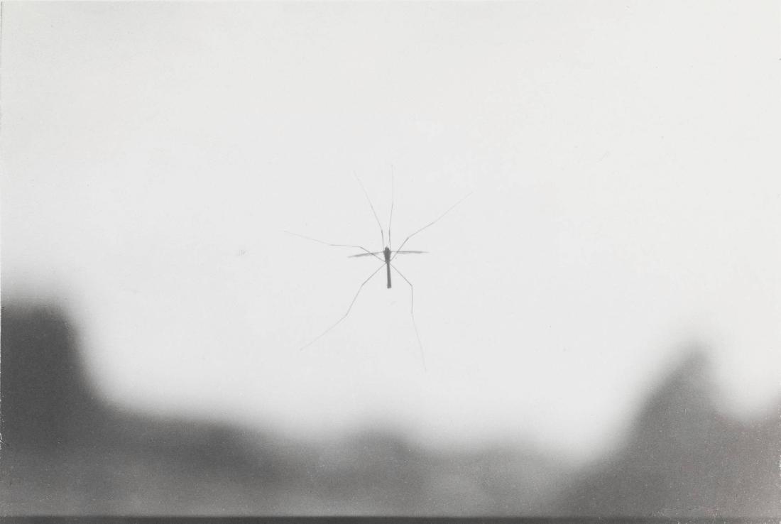 Titel saknas. Ur serien Krank