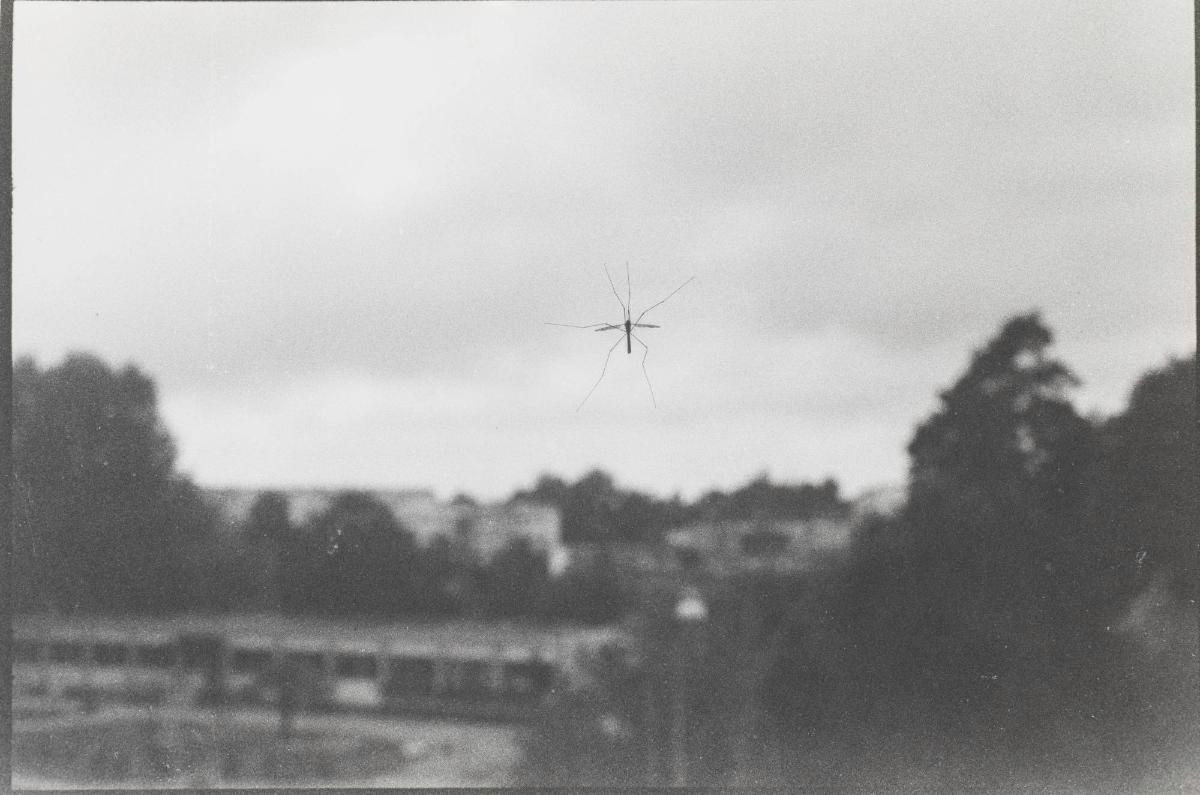 Titel saknas. Ur serien Krank