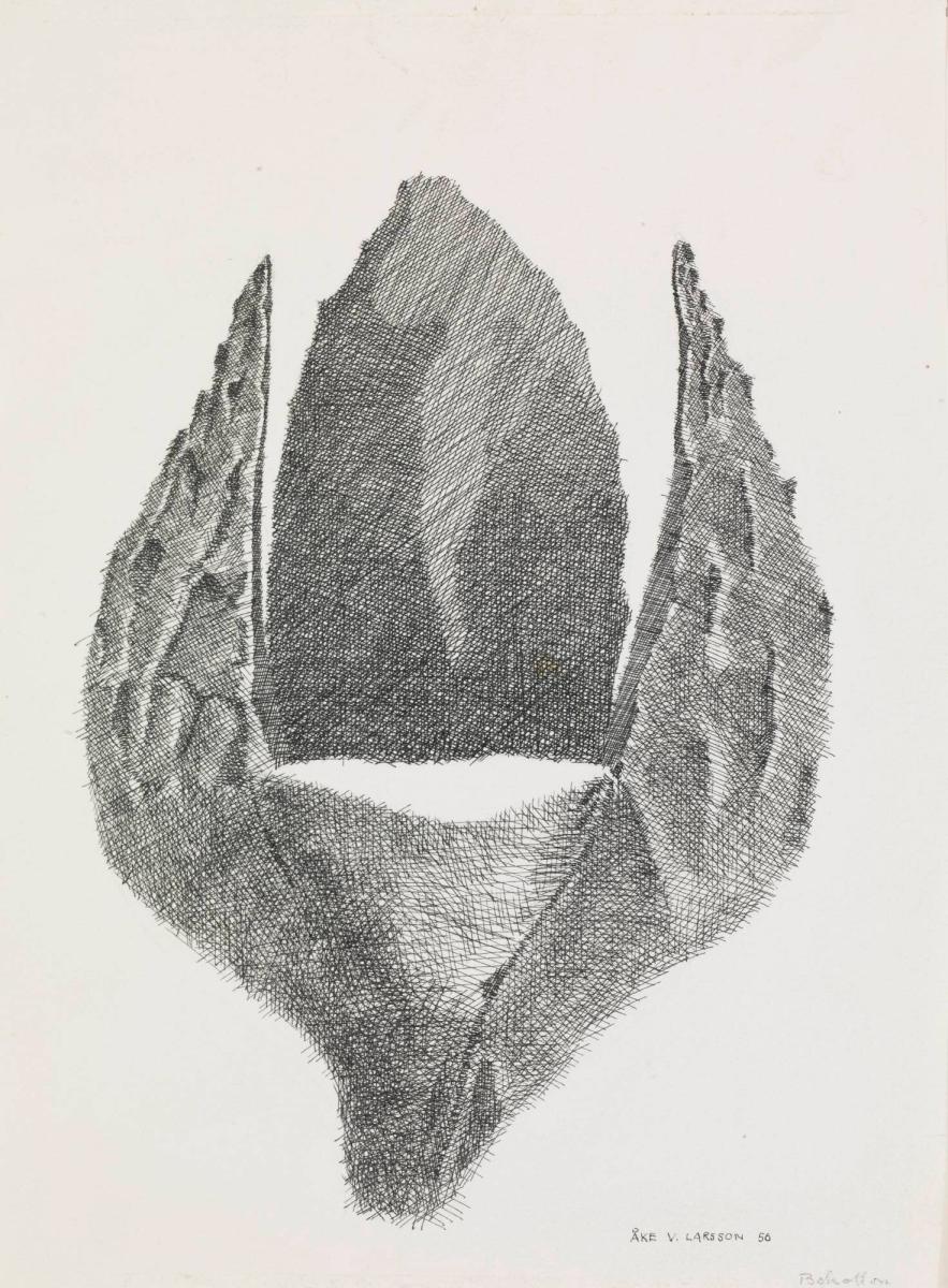 Bokollon