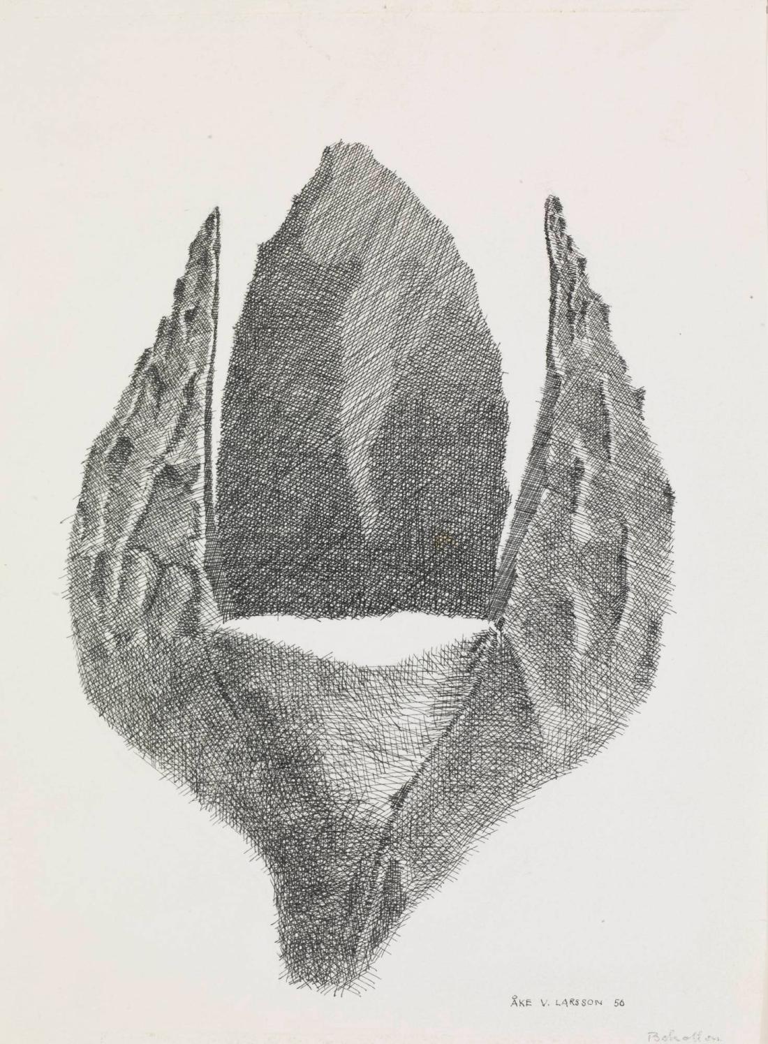 Bokollon