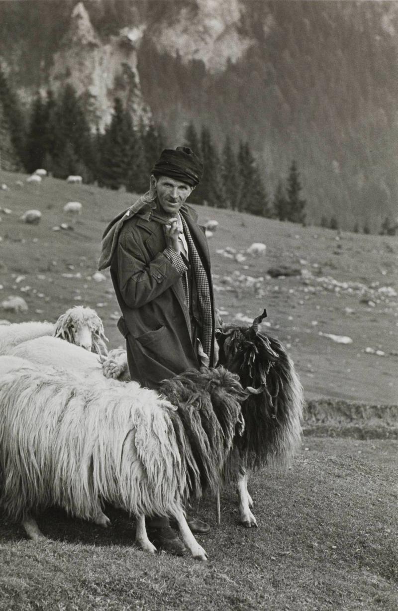 Albansk fåraherde med sina får i bergen - nära gränsen till Albanien. Ur serien Kosova, Jugoslavien