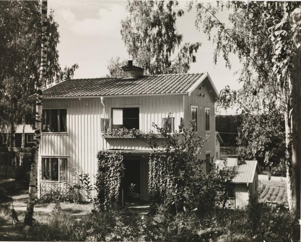 Modernt Hälsingehem. Alfta (Born)