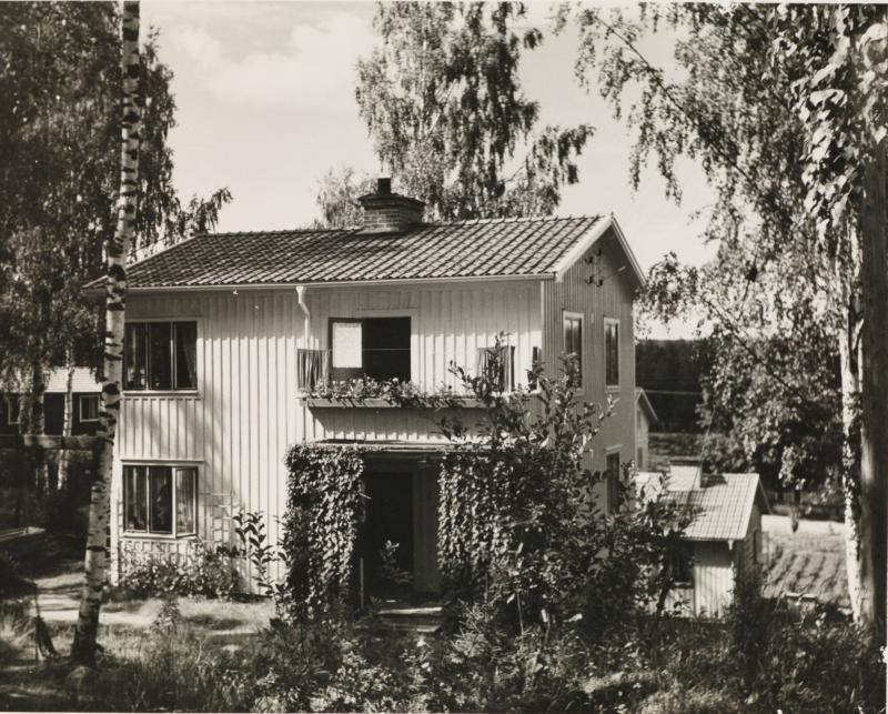 Modernt Hälsingehem. Alfta (Born)