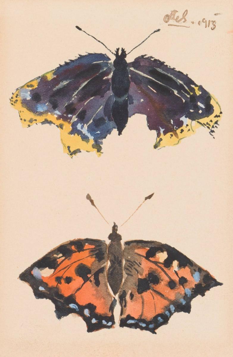 Läderlapp och insekter