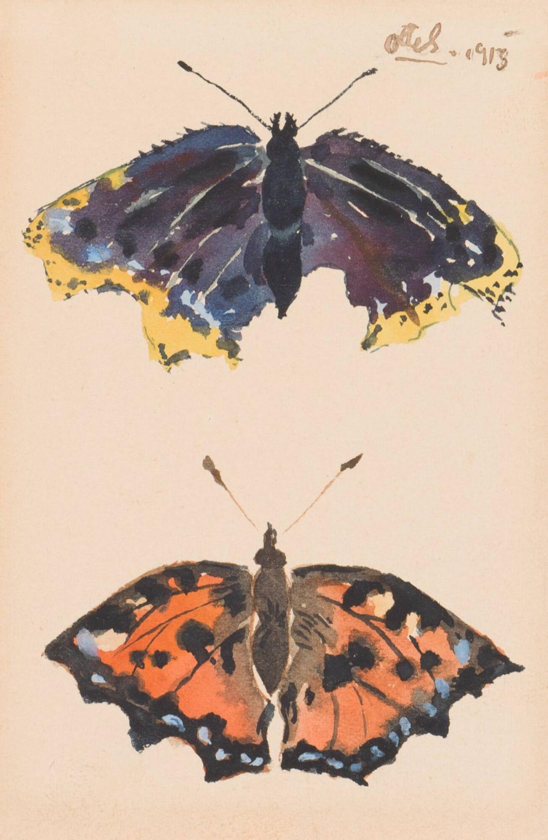 Läderlapp och insekter