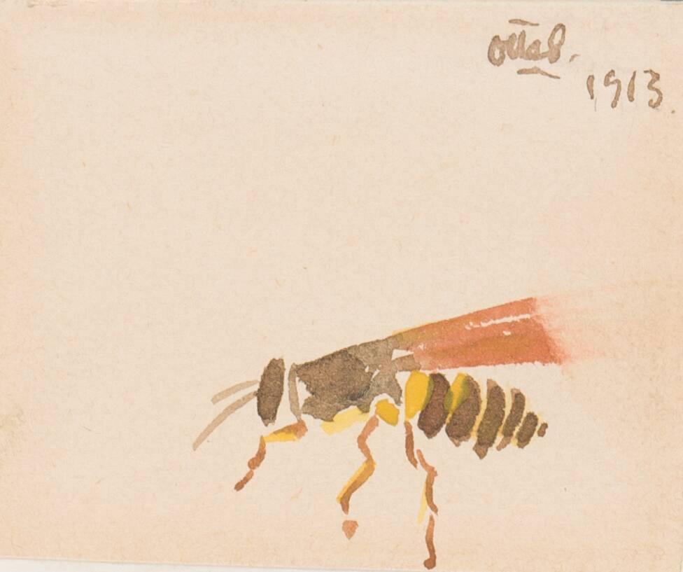 Läderlapp och insekter