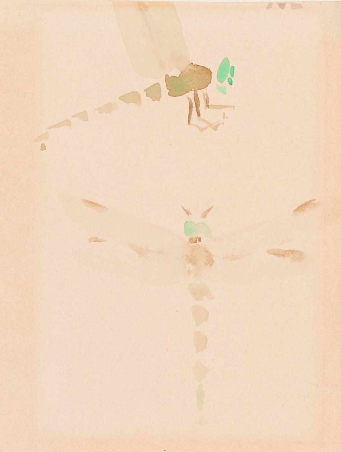 Läderlapp och insekter
