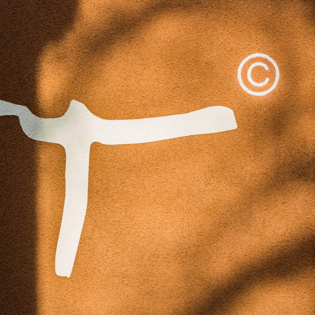 How Public is the Public Museum?