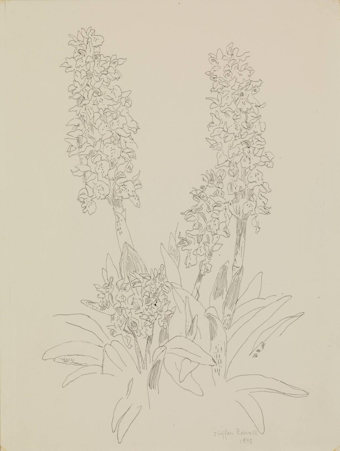 Blomstermotiv. St Pers Nycklar