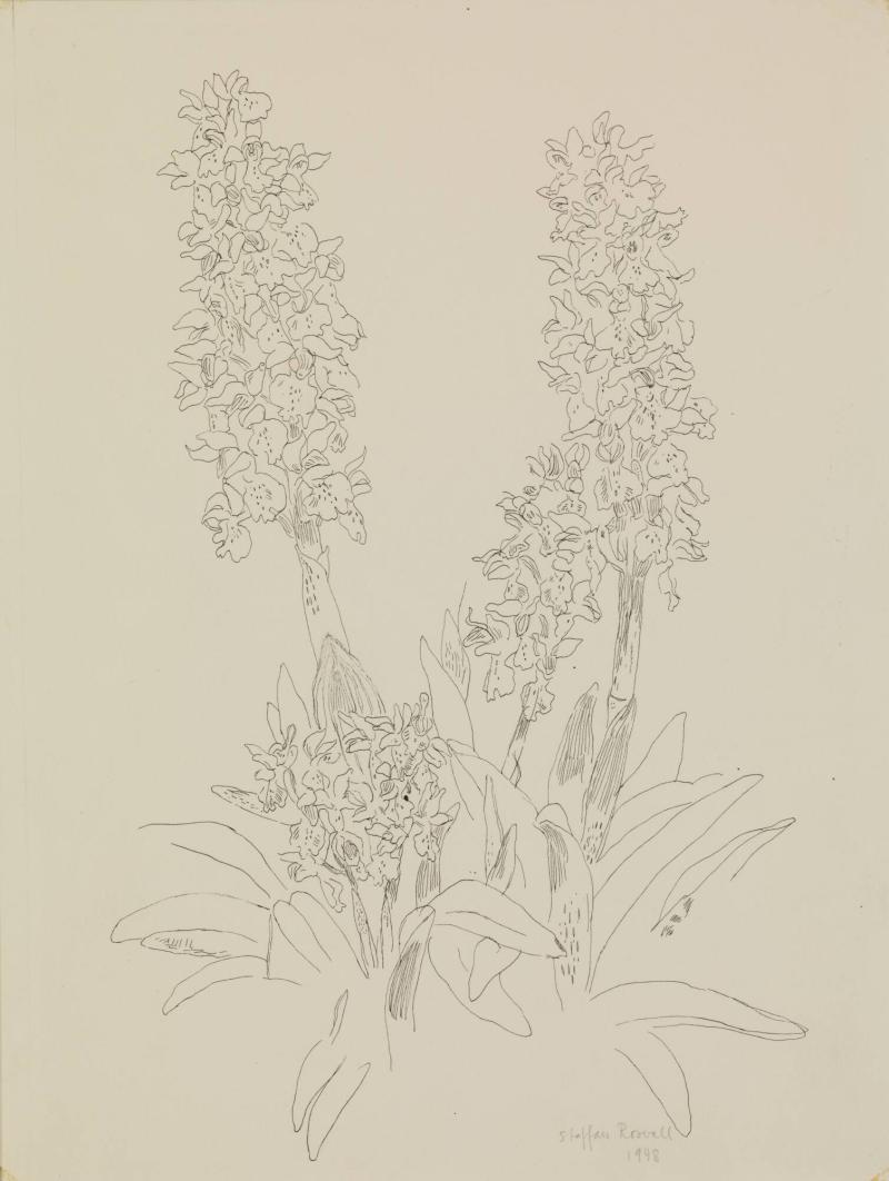 Blomstermotiv. St Pers Nycklar