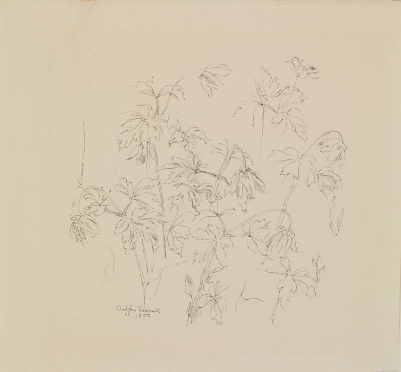 Blomster