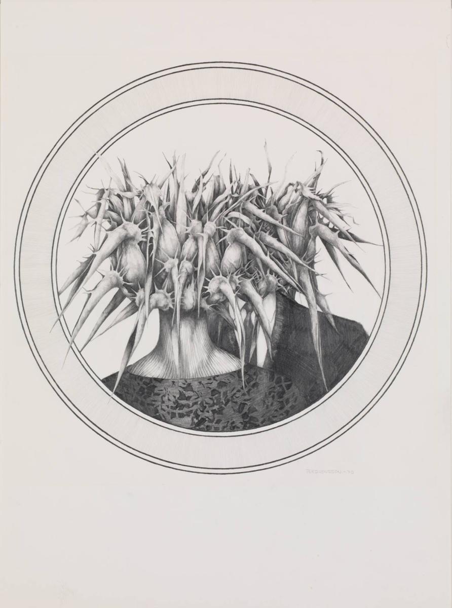 Metamorfos XII