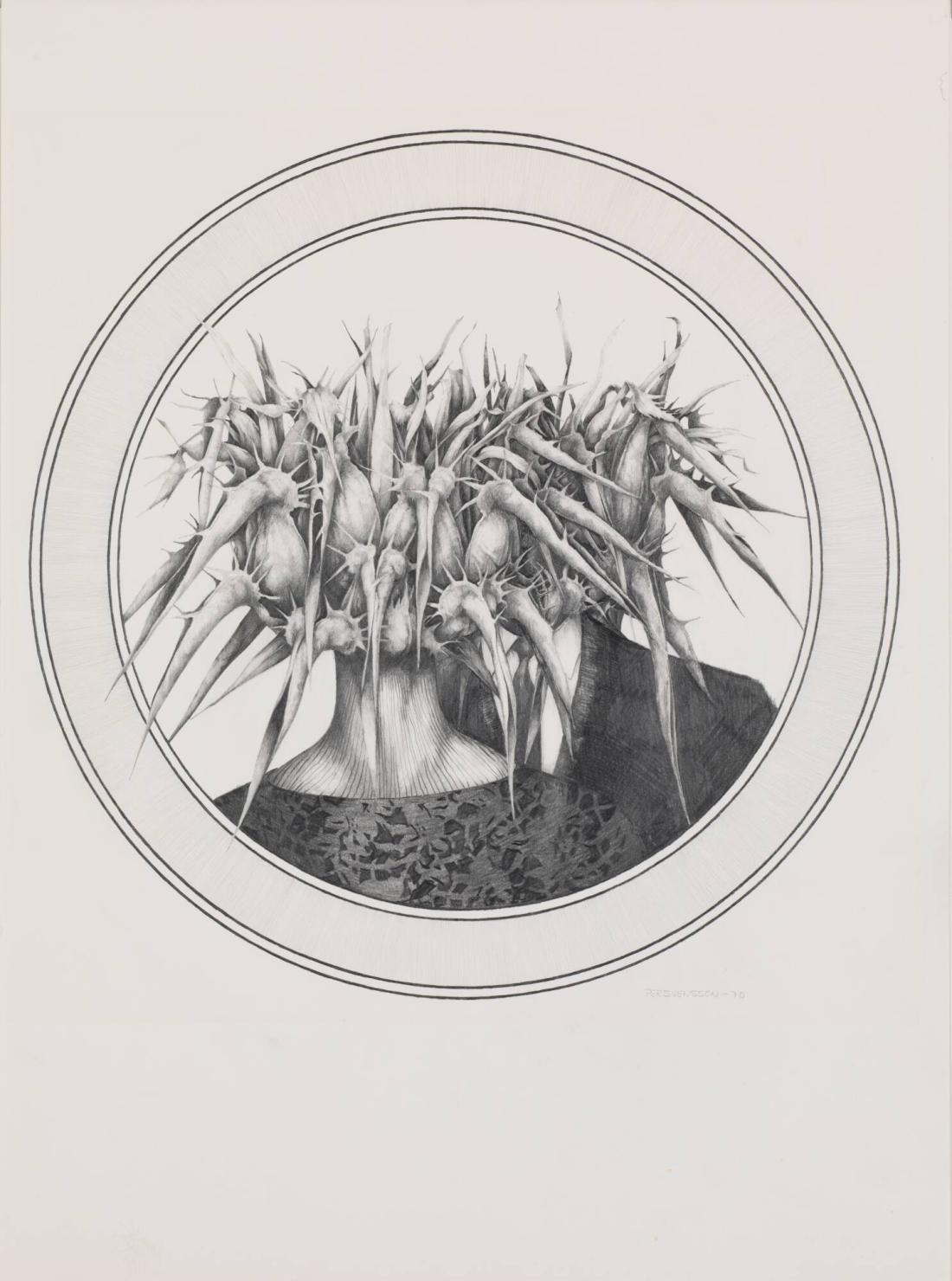 Metamorfos XII