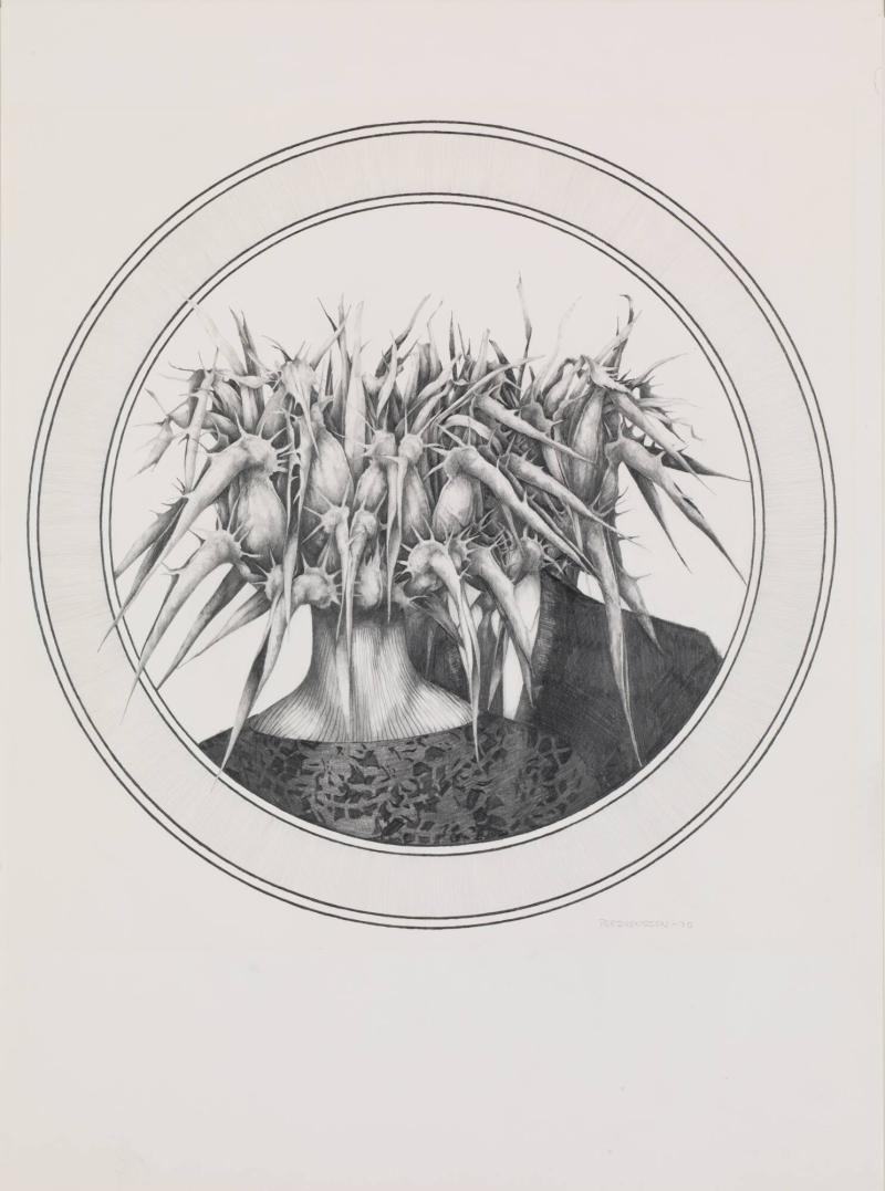 Metamorfos XII