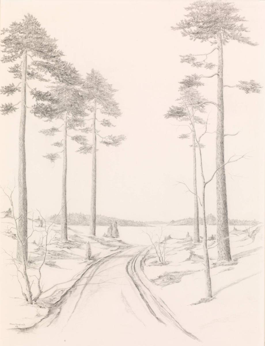 Skogsväg med sjö