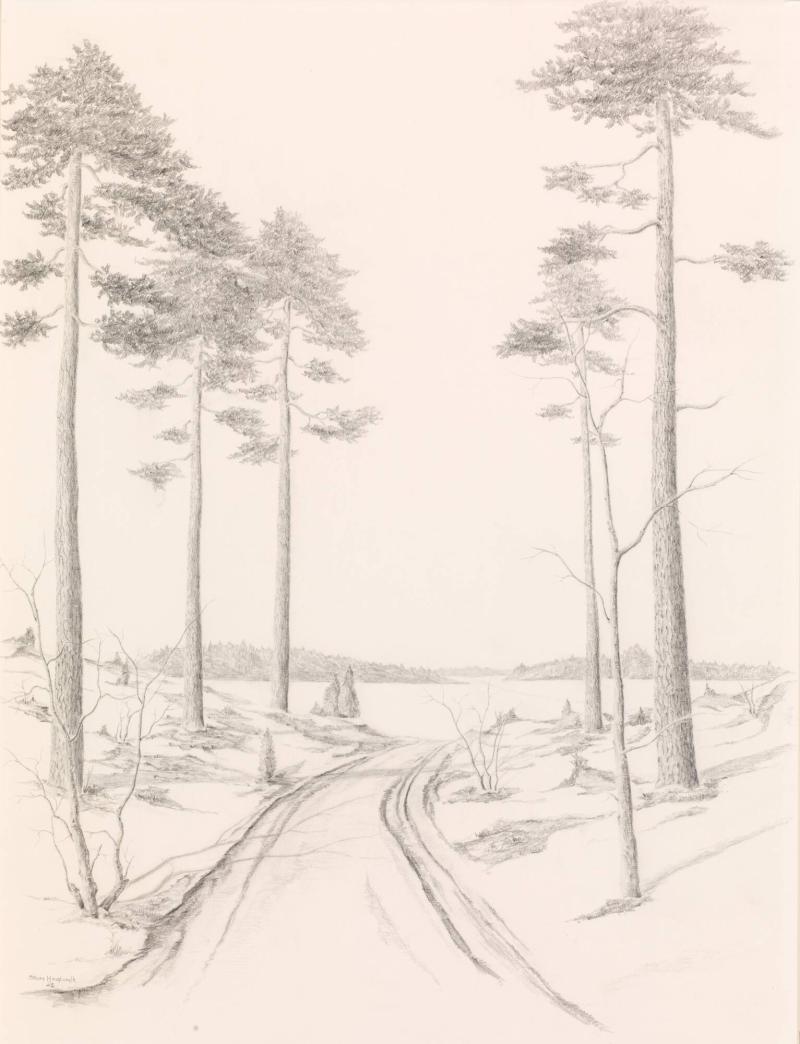 Skogsväg med sjö