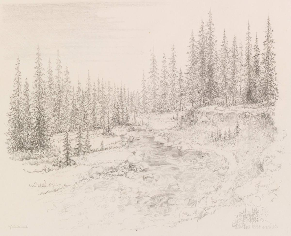 Skogsbryn, Jämtland