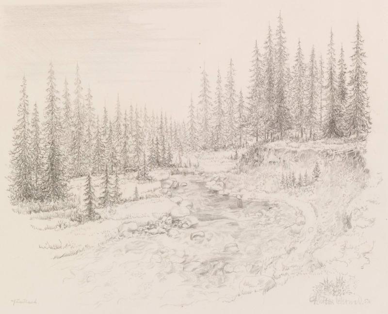 Skogsbryn, Jämtland