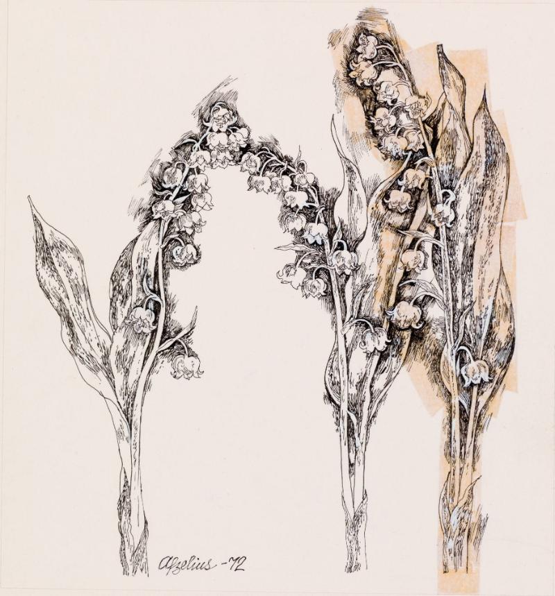 Tre liljekonvaljkvistar