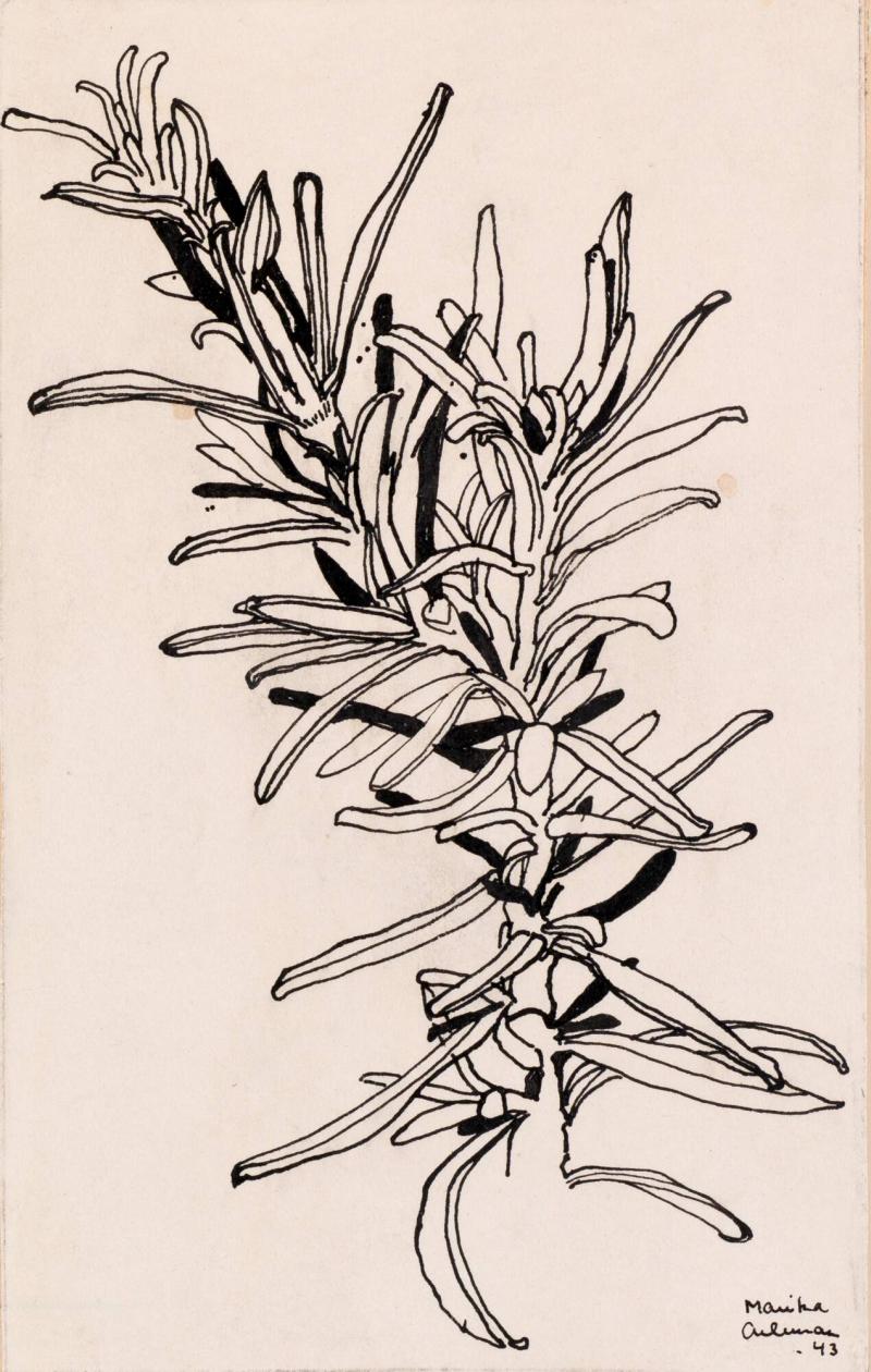 Blomstermotiv